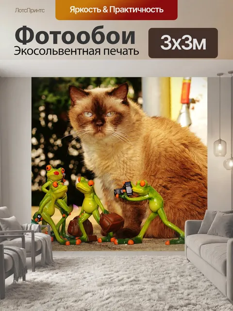 Фотообои Кот