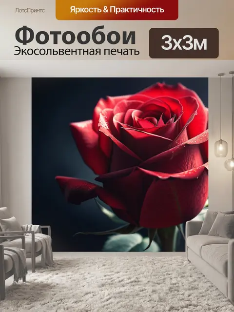 Фотообои с розой красной