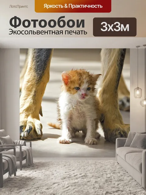 Фотообои Кошка