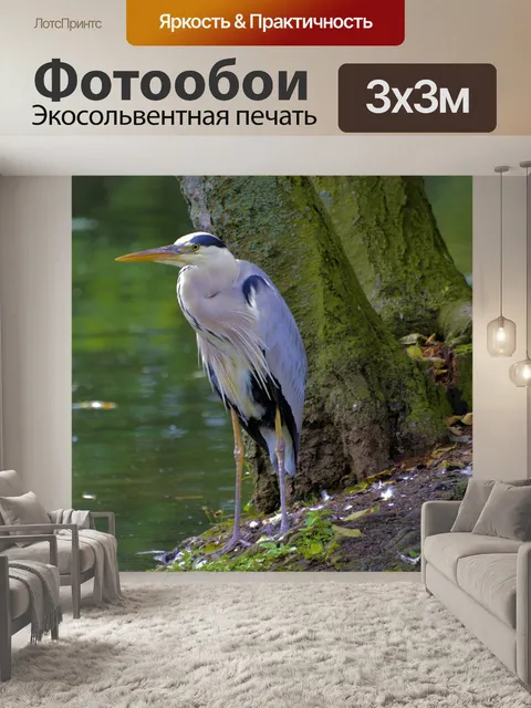 Фотообои Серая цапля
