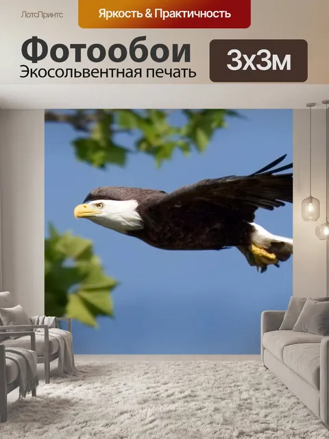 Фотообои орел