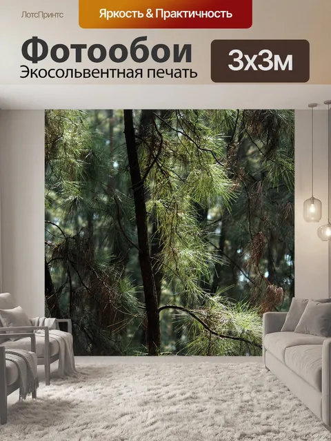 Фотообои Древесина