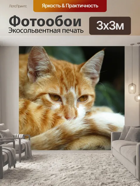 Фотообои Кошка