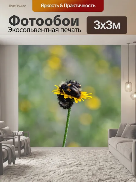 Фотообои Спать