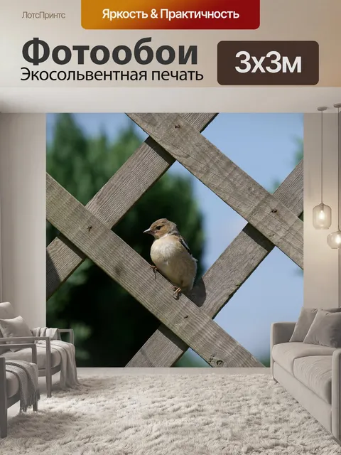 Фотообои Воробей