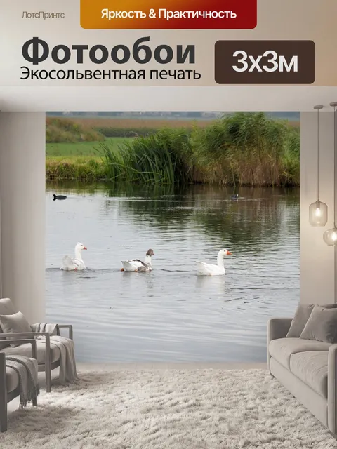 Фотообои Белые гуси