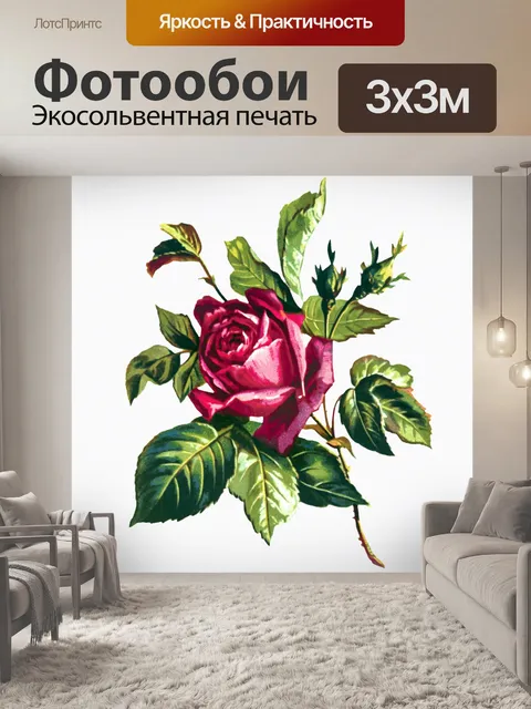 Фотообои Роза винтажный цветок старый