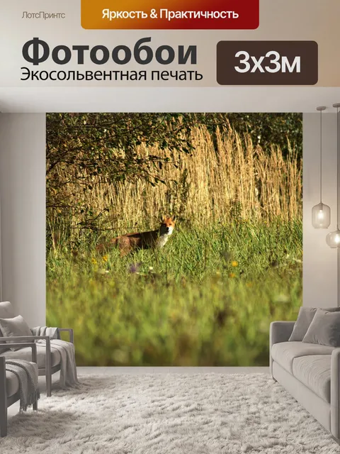 Фотообои Ноя