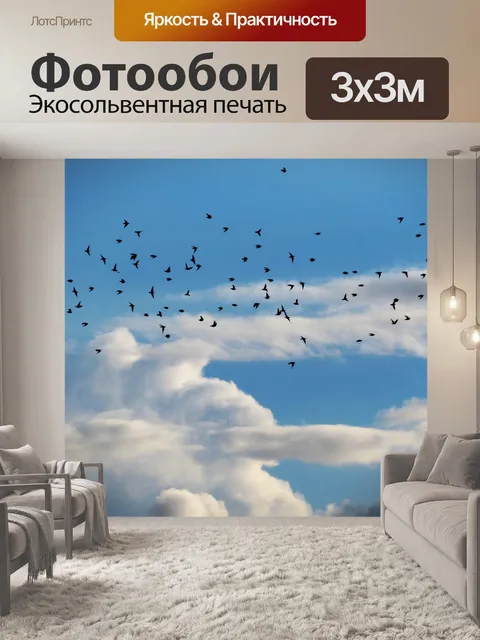 Фотообои Птицы
