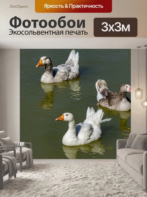 Фотообои Гуси