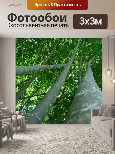 Фотообои Перадении