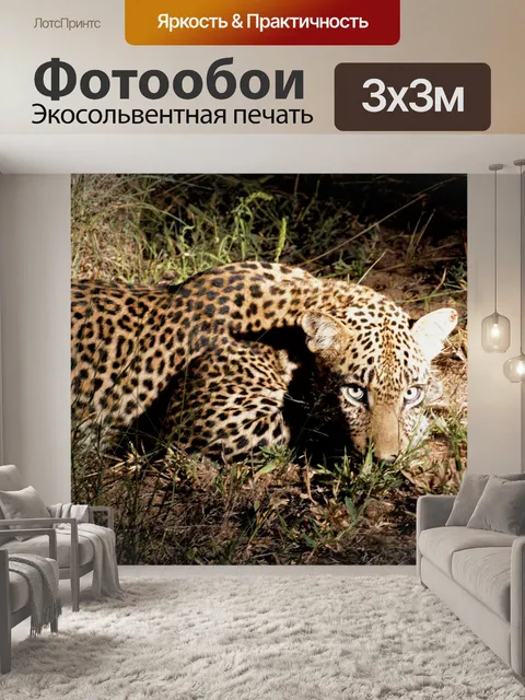 Фотообои Леопардовая ночь