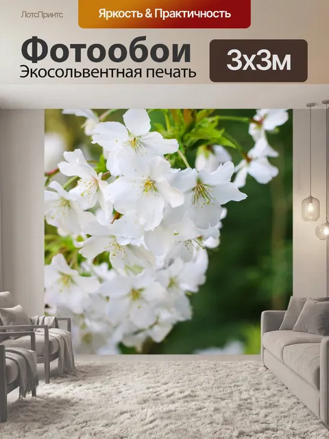 Фотообои Чернослив