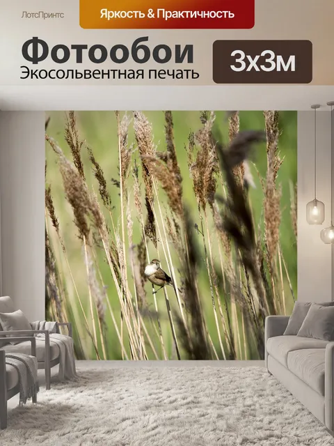 Фотообои Птица