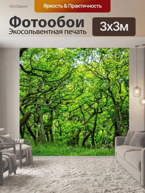 Фотообои Зеленый лес