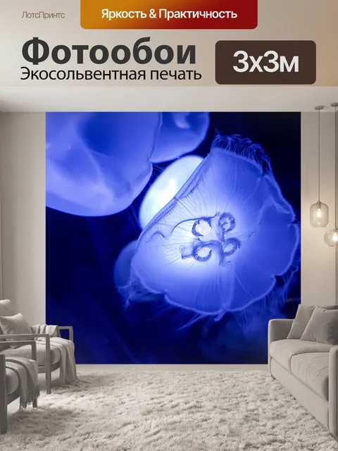 Фотообои медуза