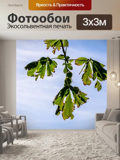 Фотообои каштан филиал