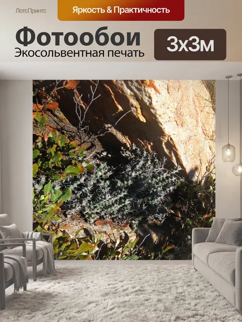Фотообои серо-зеленые сочные укрытые