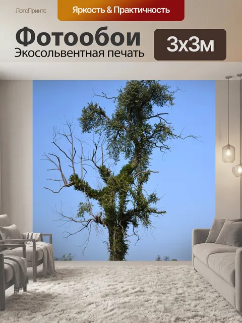 Фотообои Деревенский