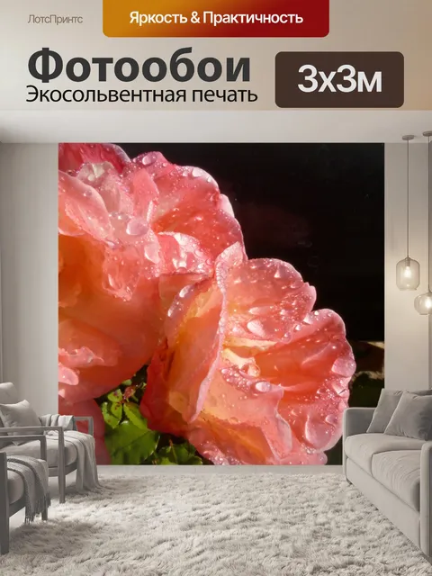 Фотообои Влажные Розовые розы