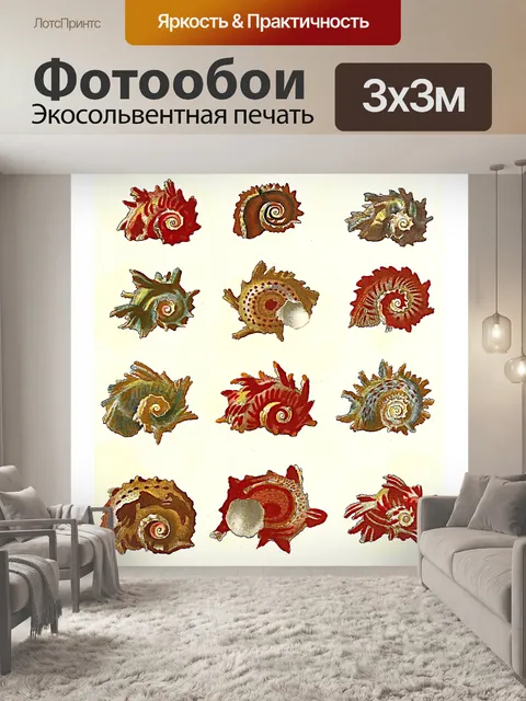 Фотообои Иллюстрация старинных ракушек