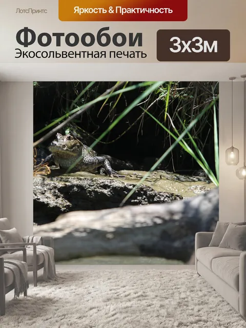Фотообои Кайман Аллигатор