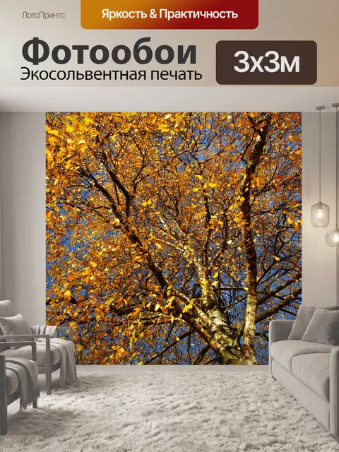 Фотообои Береза