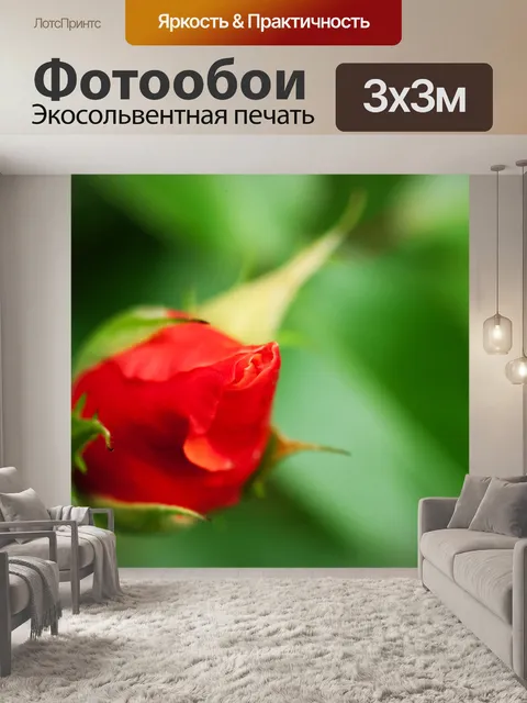 Фотообои бутон розы красного на зеленый