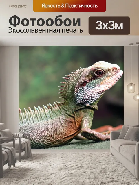 Фотообои Китайские воды дракон