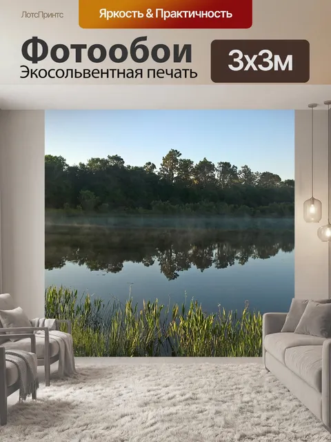 Фотообои Флорида