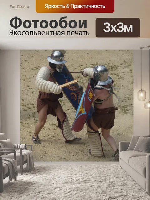 Фотообои Гладиатор