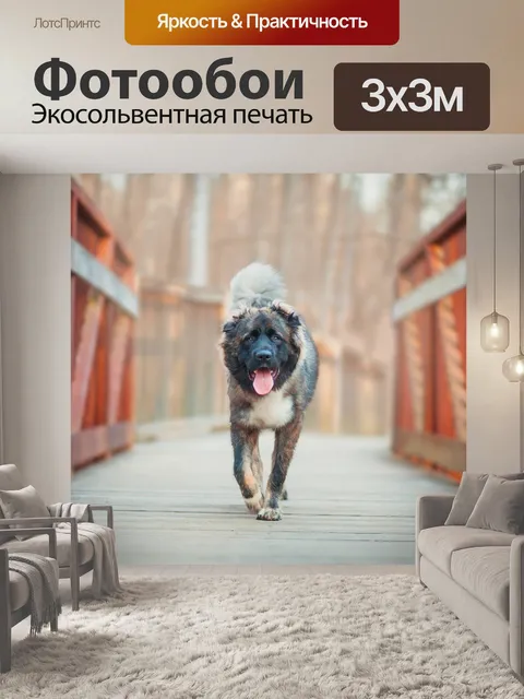 Фотообои Кавказская овчарка