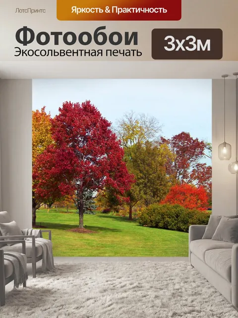 Фотообои Осень Деревья в парке
