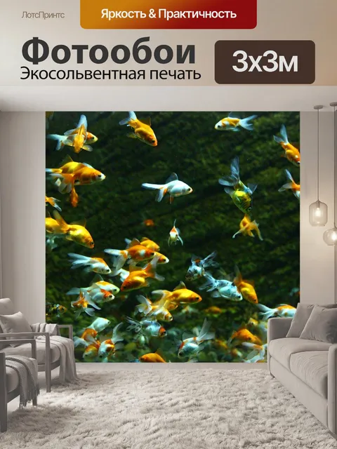 Фотообои Рыбы