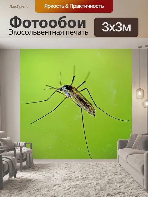 Фотообои Природа