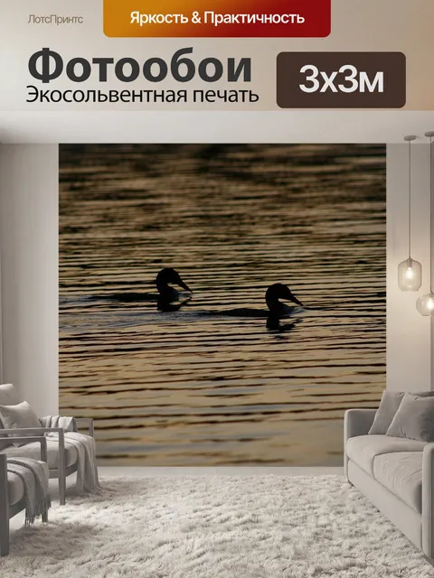 Фотообои Утки
