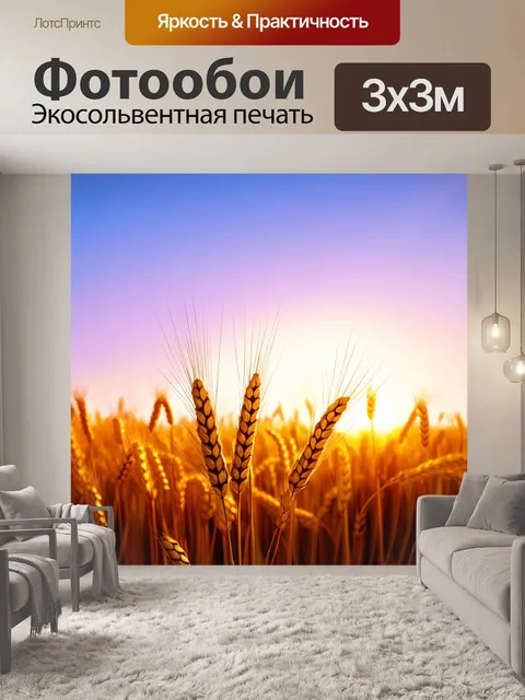 Фотообои рассвет над полем, усыпанным золотыми колосьями пшеницы, которые мерцают в утреннем свете