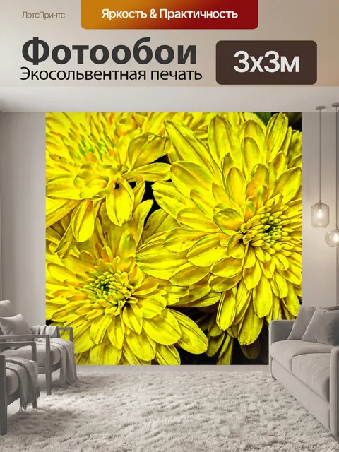 Фотообои Желтые хризантемы