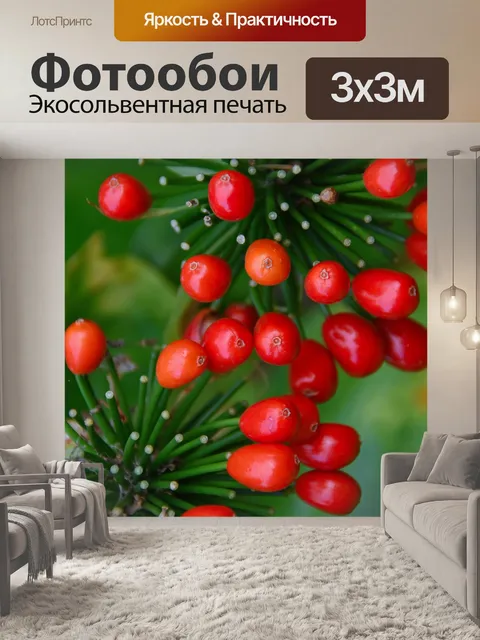 Фотообои Берри