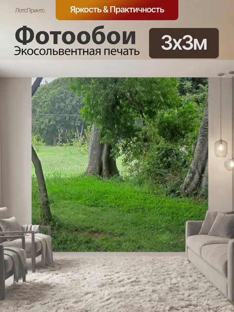 Фотообои Стволы деревьев и зеленая растительность