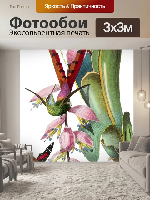 Фотообои колибри, фуксия, бабочка