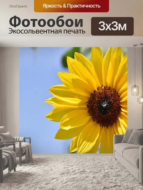 Фотообои Подсолнечник Крупным планом