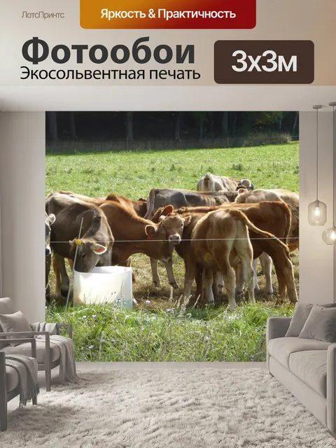 Фотообои Коровы