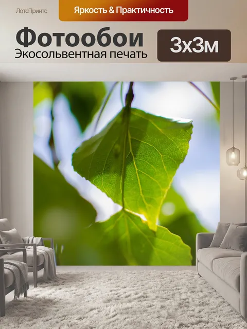 Фотообои Крупный план