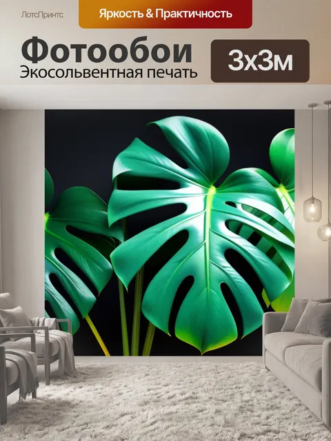 Фотообои с листьями монстеры крутой