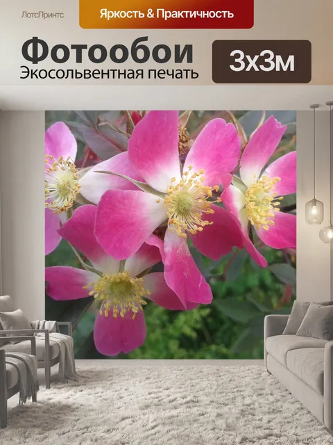 Фотообои В начале лета