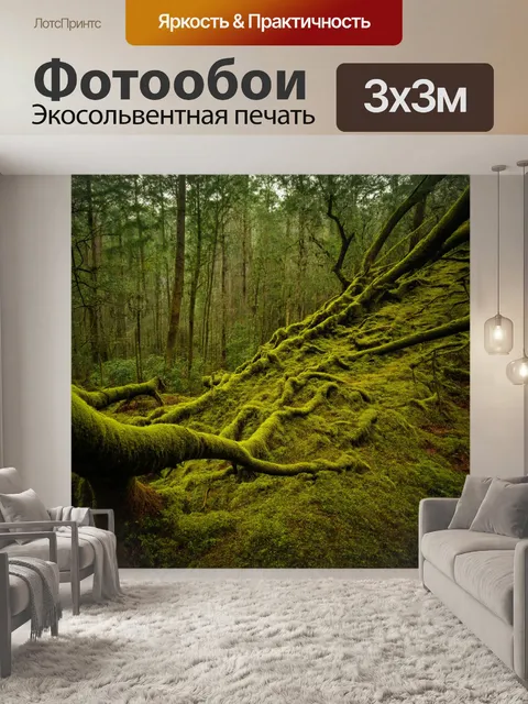 Фотообои старый лес с мхом на деревьях и панорамным видом на холмы
