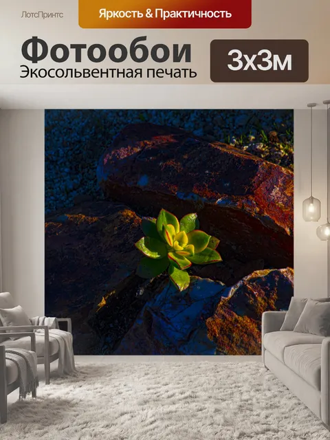 Фотообои Яркое суккулентное растение
