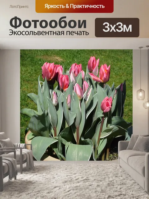 Фотообои Тюльпаны весной