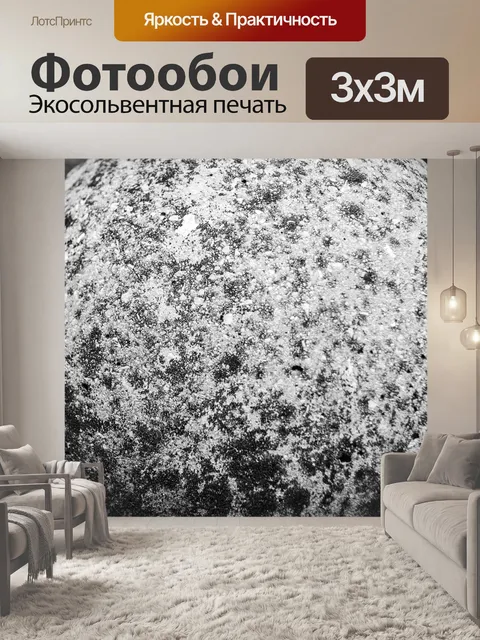 Фотообои Стена